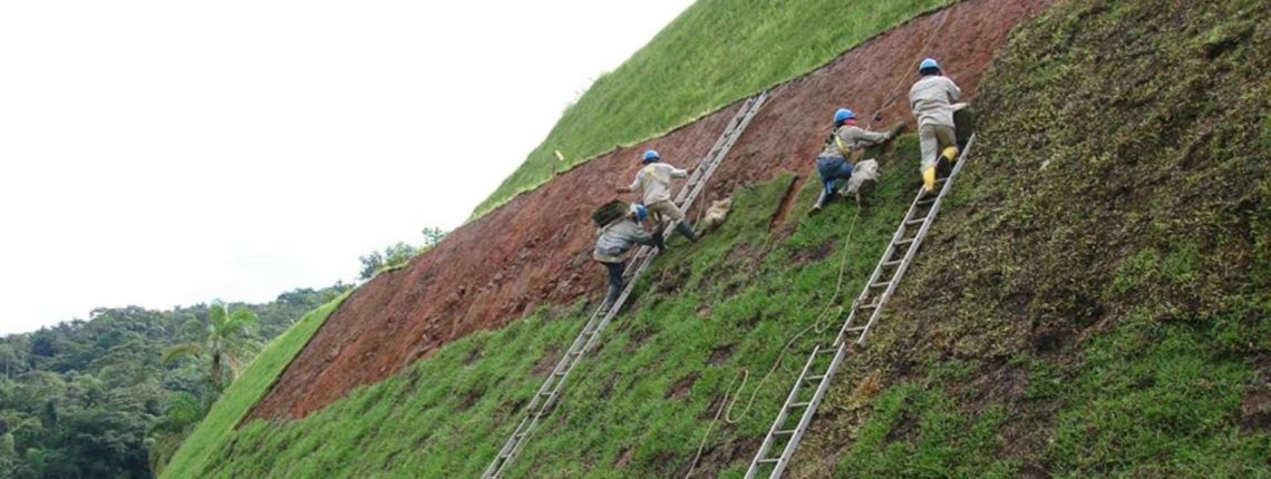 Re vegetalizacion de taludes